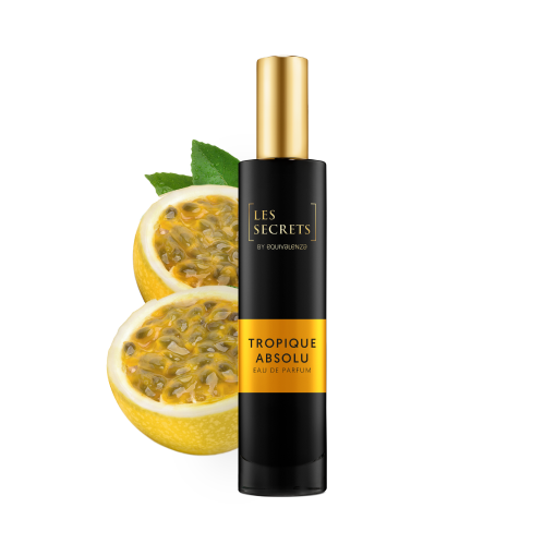 TROPIQUE-ABSOLU@3x