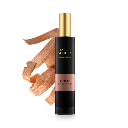 CEDRE.png